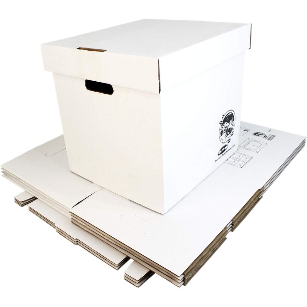 Set of 5 Heavy-Duty 12 Vinyl R - đánh giá và giá Archive Box Set