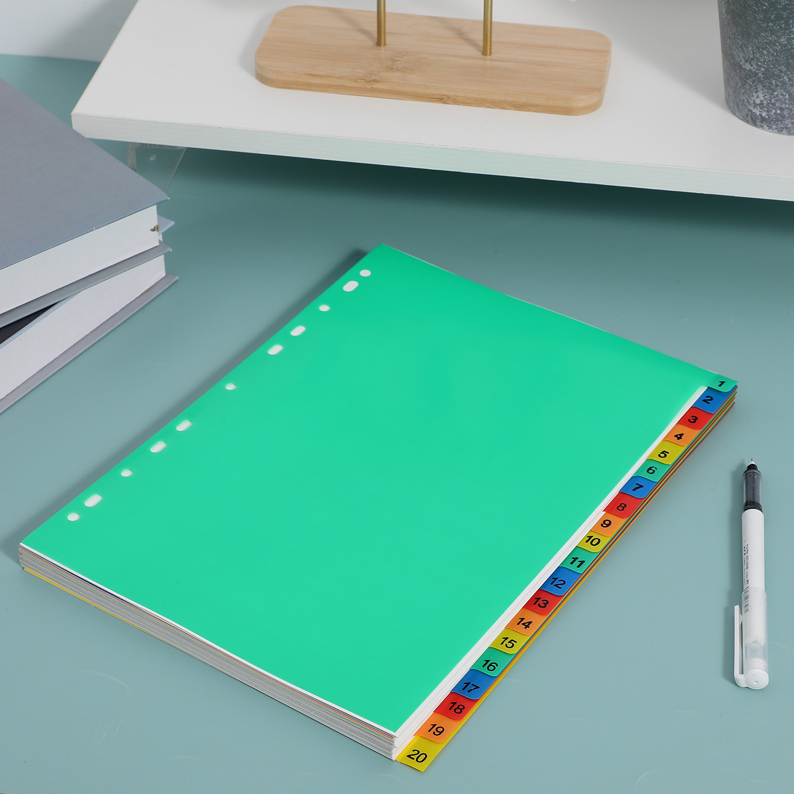 20 Pages A4 Multi Color Plasti - đánh giá và giá Tab Divider A4
