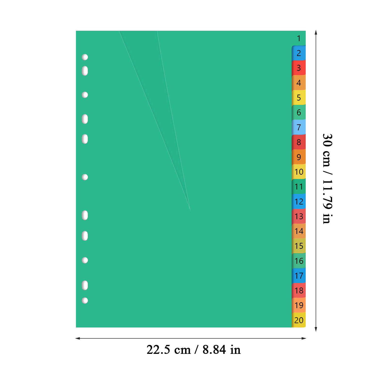 20 Pages A4 Multi Color Plasti - đánh giá và giá Tab Divider A4